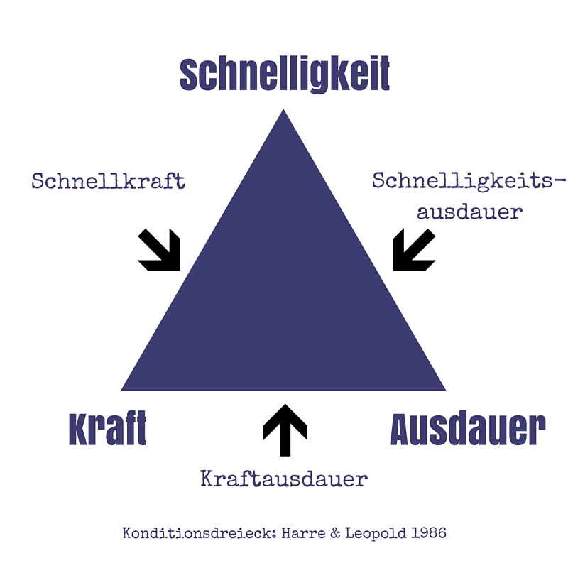 Ausdauertraining: Trainingsplan verstehen und umsetzen