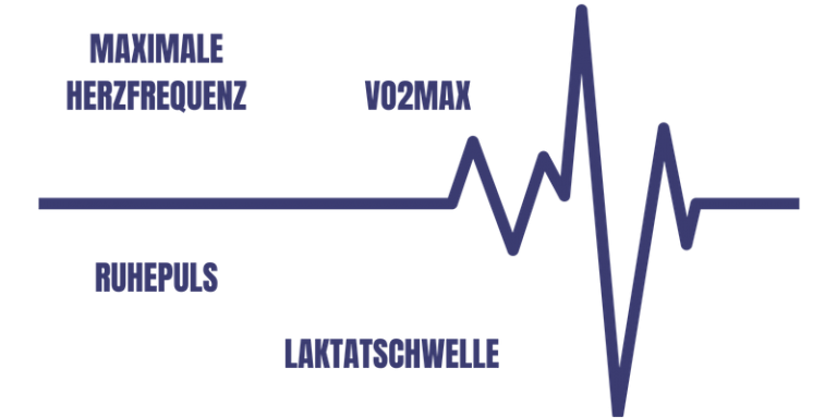 Welcher Puls Beim Sport Ist Gefährlich Herzfrequenz Sport: Was sagt der Puls über deine Fitness aus?