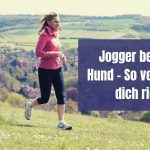 Jogger begegnet Hund – So verhältst du dich richtig