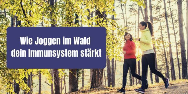 Joggen im Wald ist gesund. Aber warum eigentlich? Wie du mit einer Laufrunde im Wald dein Immunsystem stärken kannst, erfährst du in diesem Artikel.